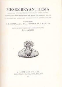 Mesembryanthema - Brown, N E ; Tischer, A ; Karsten, MC