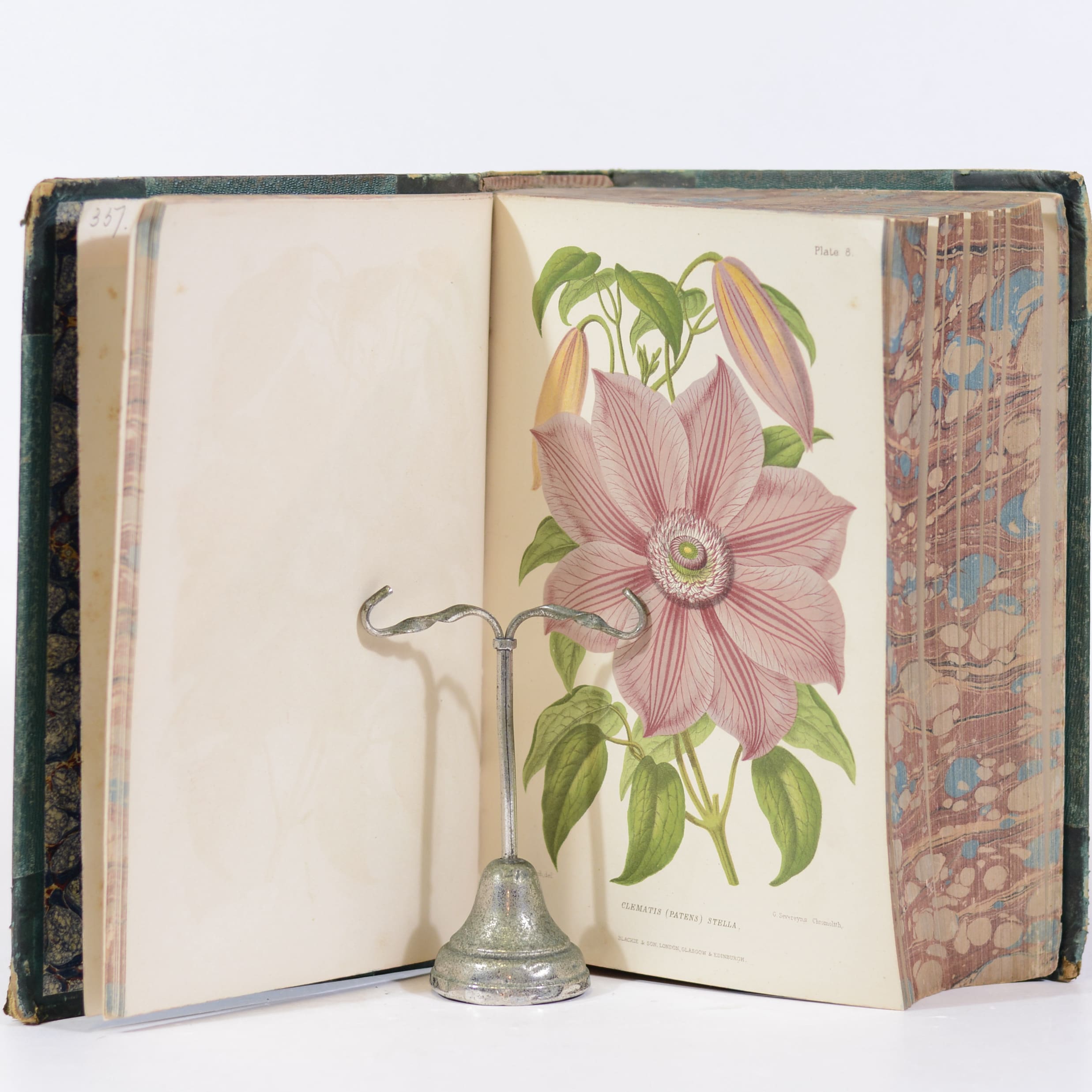 The Gardener's Assistant: Practical and Scientific - Thompson, Robert - Image 3