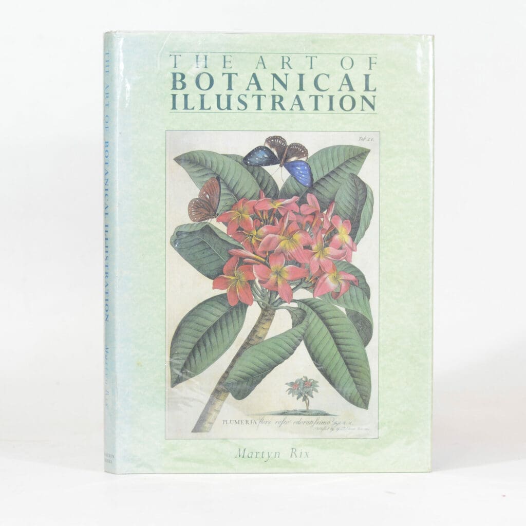 Visual idea from this collection