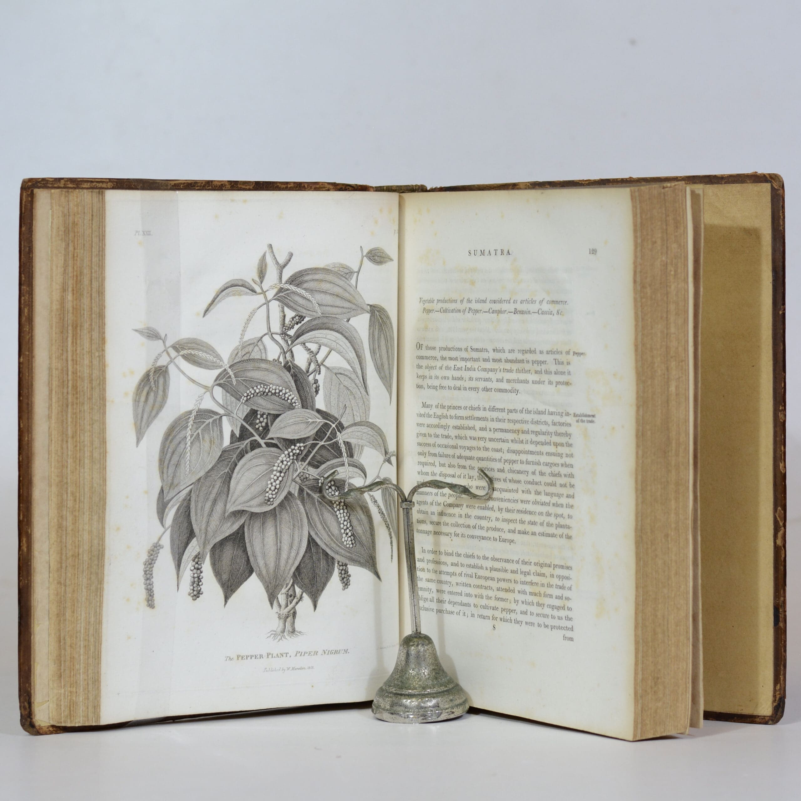 The History of Sumatra, containing an account of The Government, Laws, Customs, and Manners of The Native Inhabitants, with A Description of the Natural Productions, and a relation of the Ancient Political State of The Island - Marsden, William - Image 3