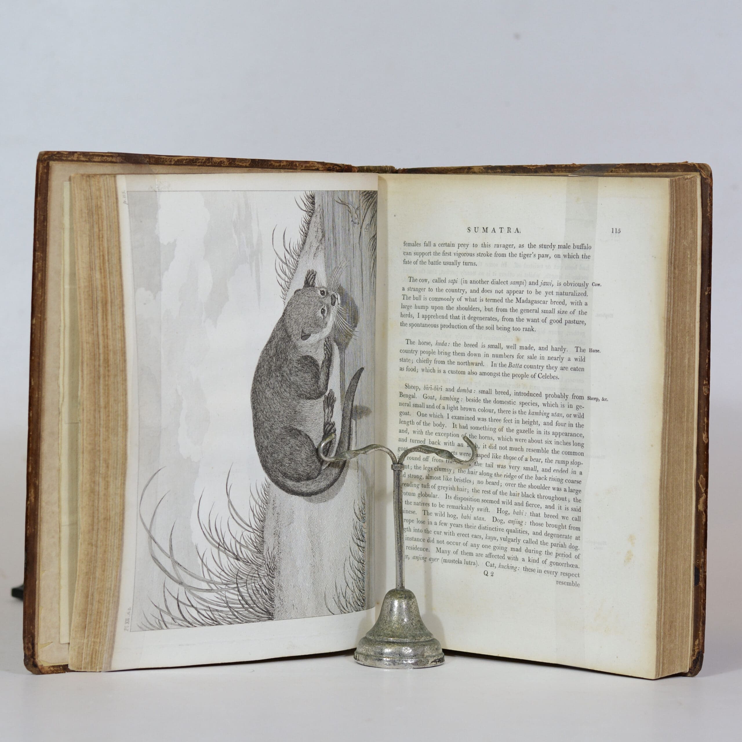 The History of Sumatra, containing an account of The Government, Laws, Customs, and Manners of The Native Inhabitants, with A Description of the Natural Productions, and a relation of the Ancient Political State of The Island - Marsden, William - Image 4