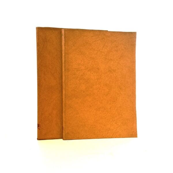 Some Lessons on Homoeopathic Therapeutics after 30 Years of Practice. 2 Vols. - Rouy, Docteur Andre