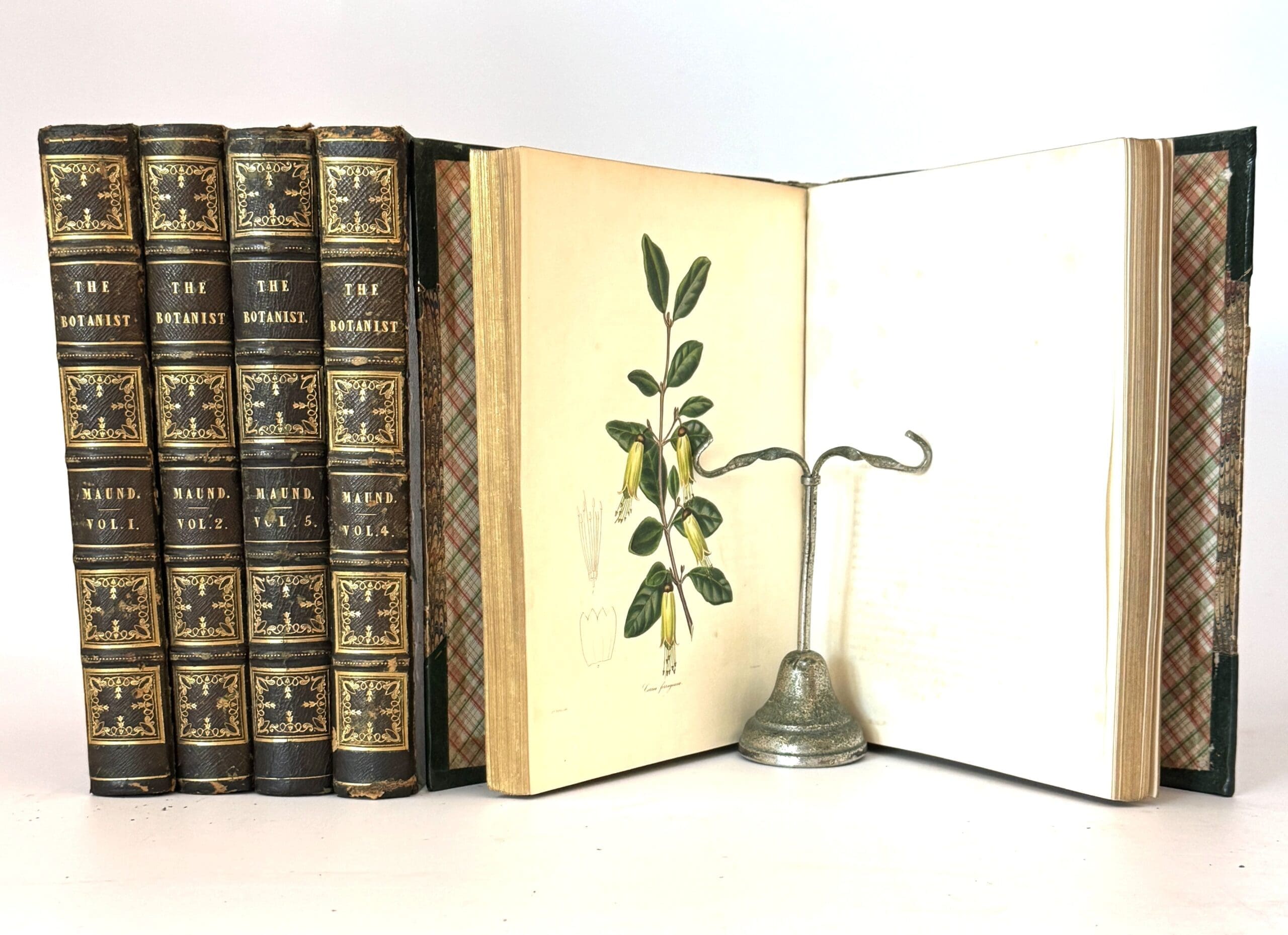 The Botanist; Containing Accurately Coloured Figures, of Tender and Hardy Ornamental Plants; with Descriptions, Scientific and Popular; Intended to Convey both Moral and Intellectual Gratification. 5 Volumes - Maund, B. And Henslow, Rev. J.S. - Image 9