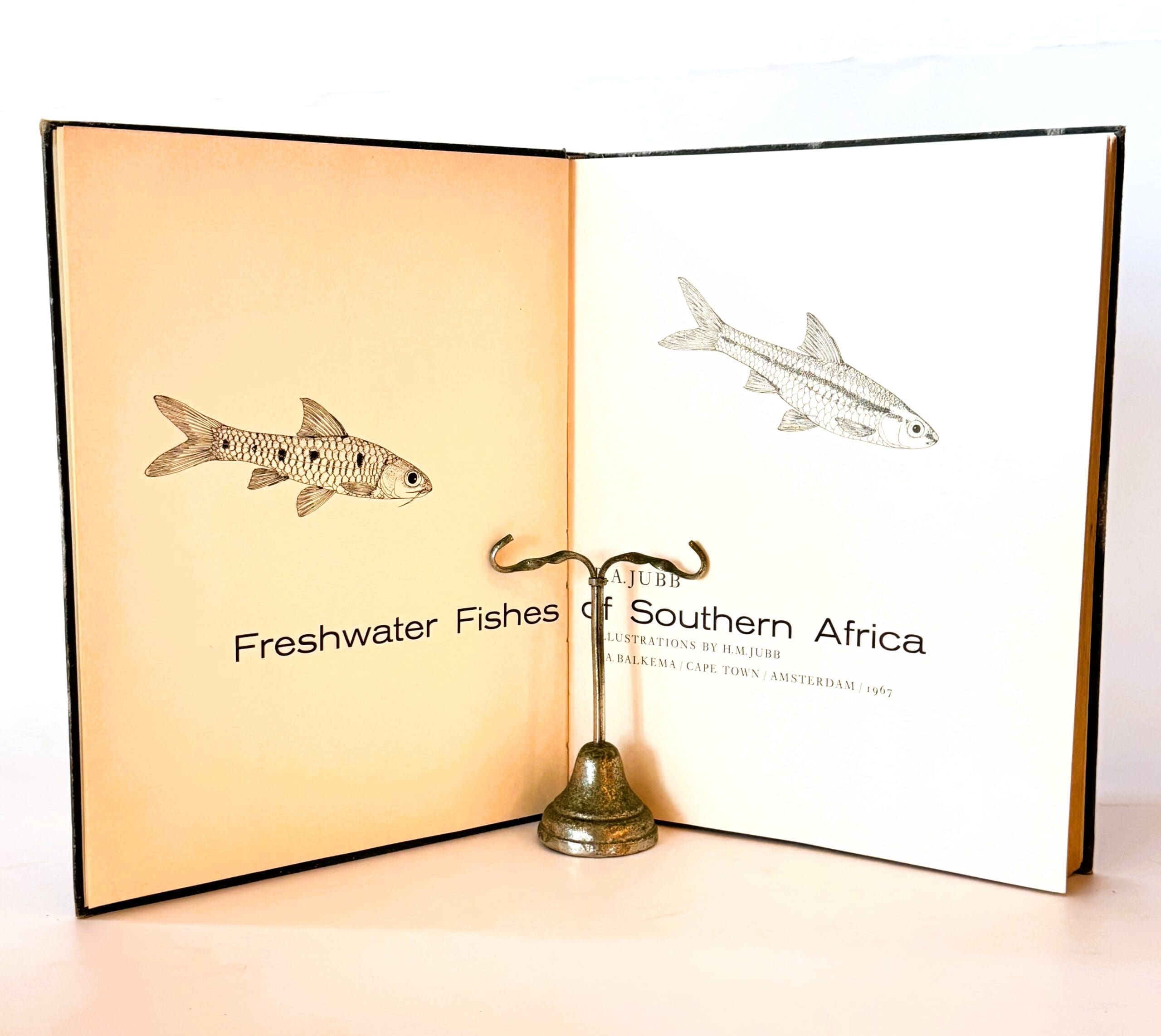 Freshwater Fishes of Southern Africa. - Jubb, R A - Image 2