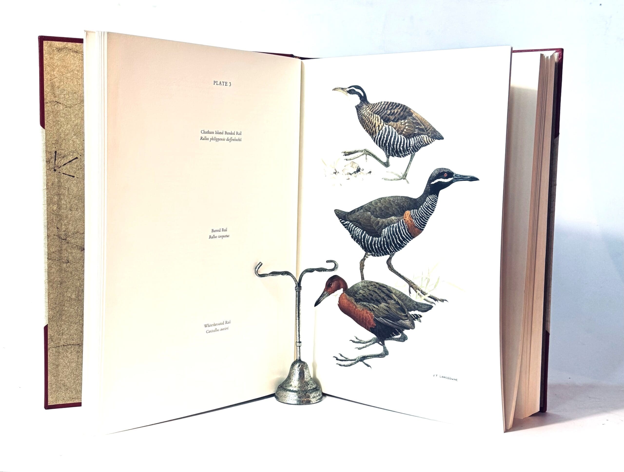 Rails of the World. (Signed) - Ripley, S Dillon - Image 3