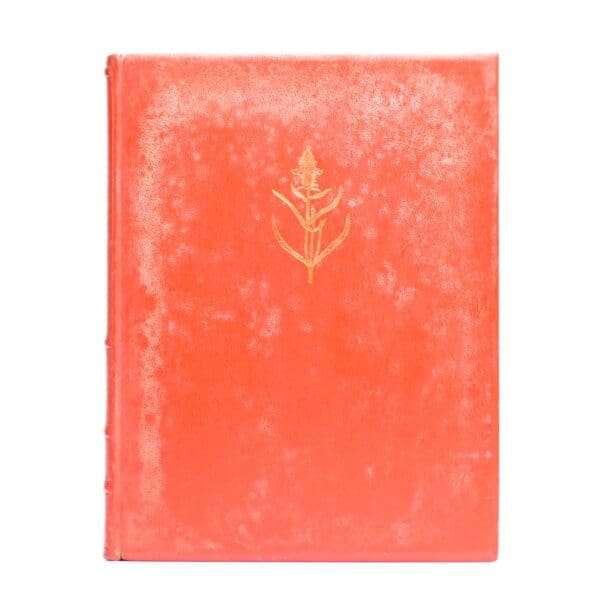 Wild Flowers of the Witwatersrand - Lucas, Annabelle. Pike, Barbara (Illus)