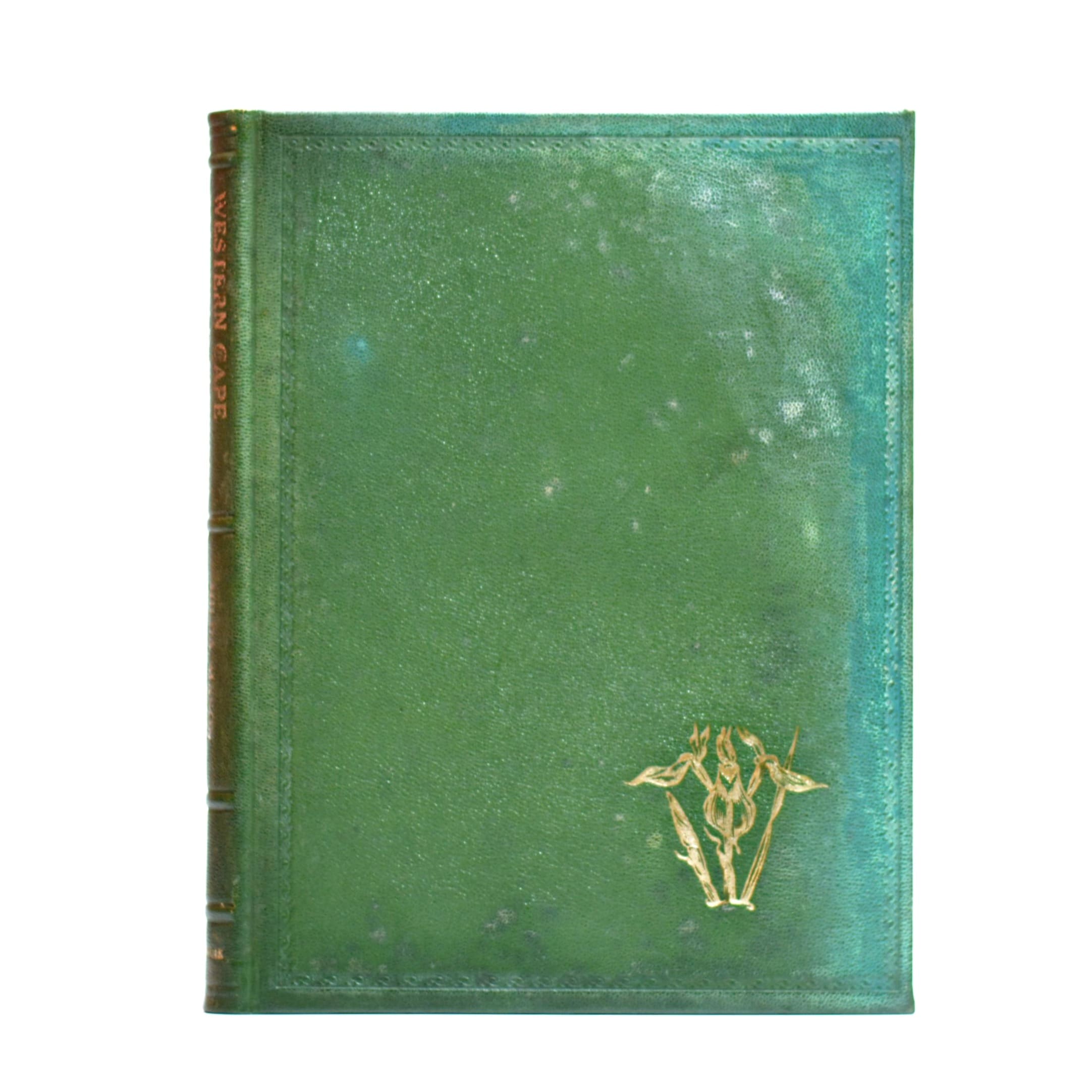 Western Cape Sandveld Flowers - Du Plessis, Enid and Collaborators. Mason, Hilda (Illus)