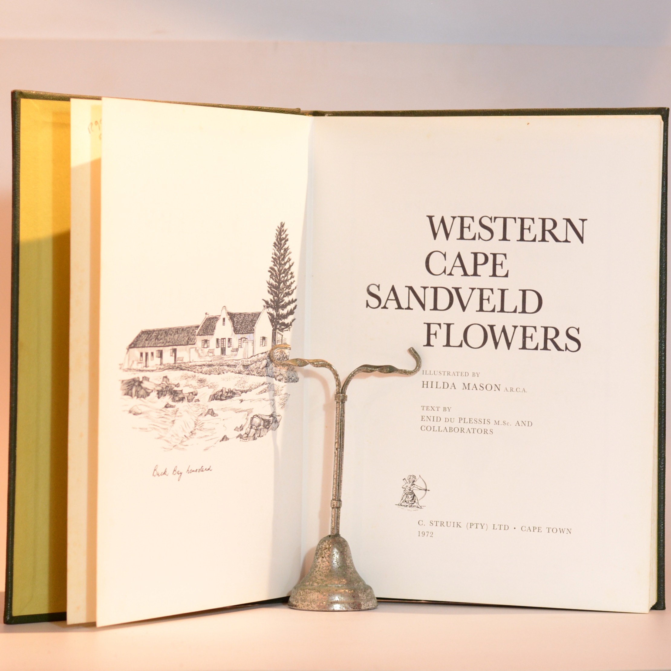 Western Cape Sandveld Flowers - Du Plessis, Enid and Collaborators. Mason, Hilda (Illus) - Image 2