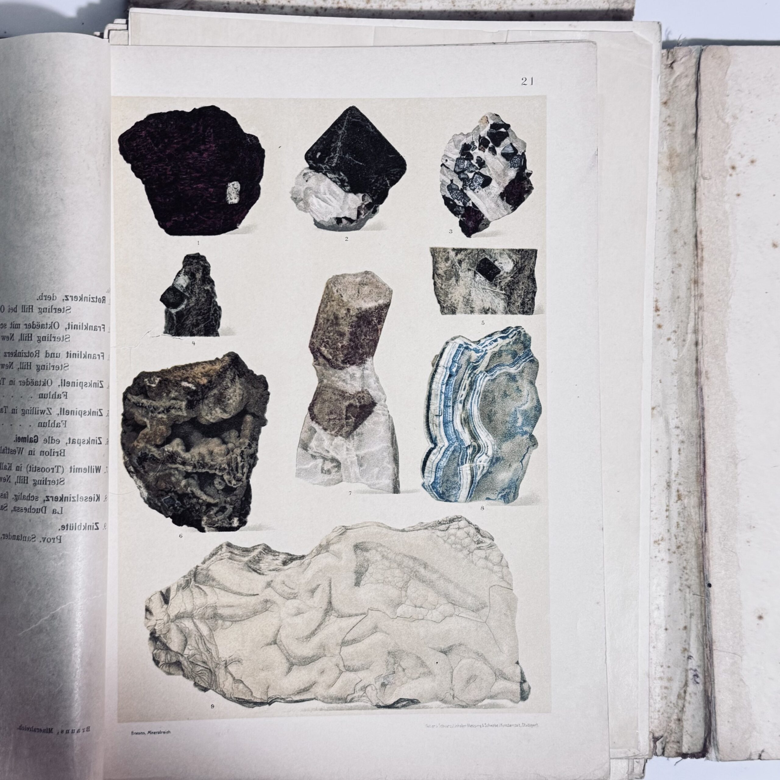 Das Mineralreich - Brauns, Dr Reinh - Image 4
