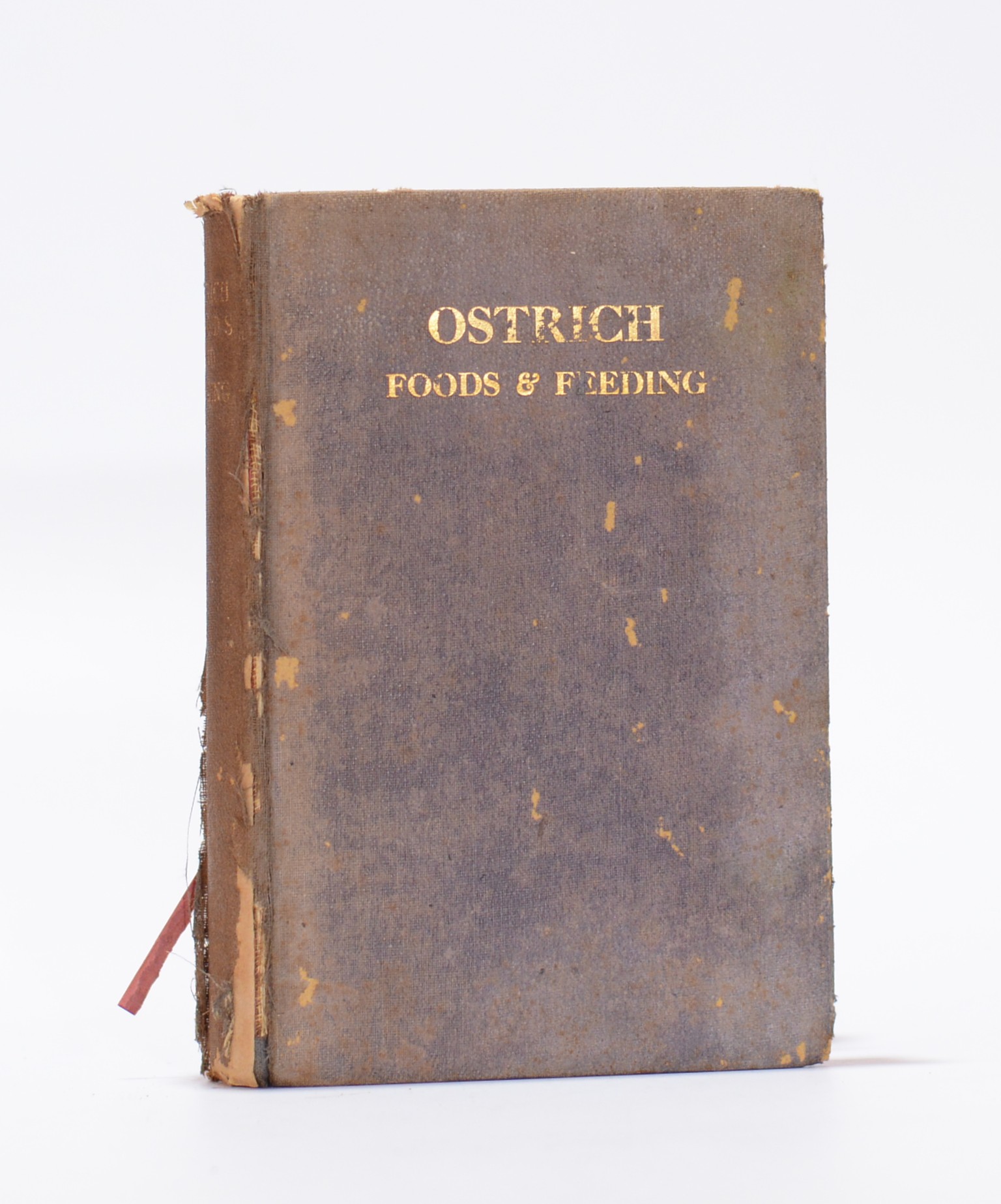 Ostrich Foods & Feeding - Dowsley, W G & Gardner, Charles