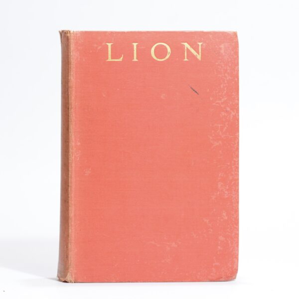 Lion. African Adventure with the King of Beasts - Johnson, Martin