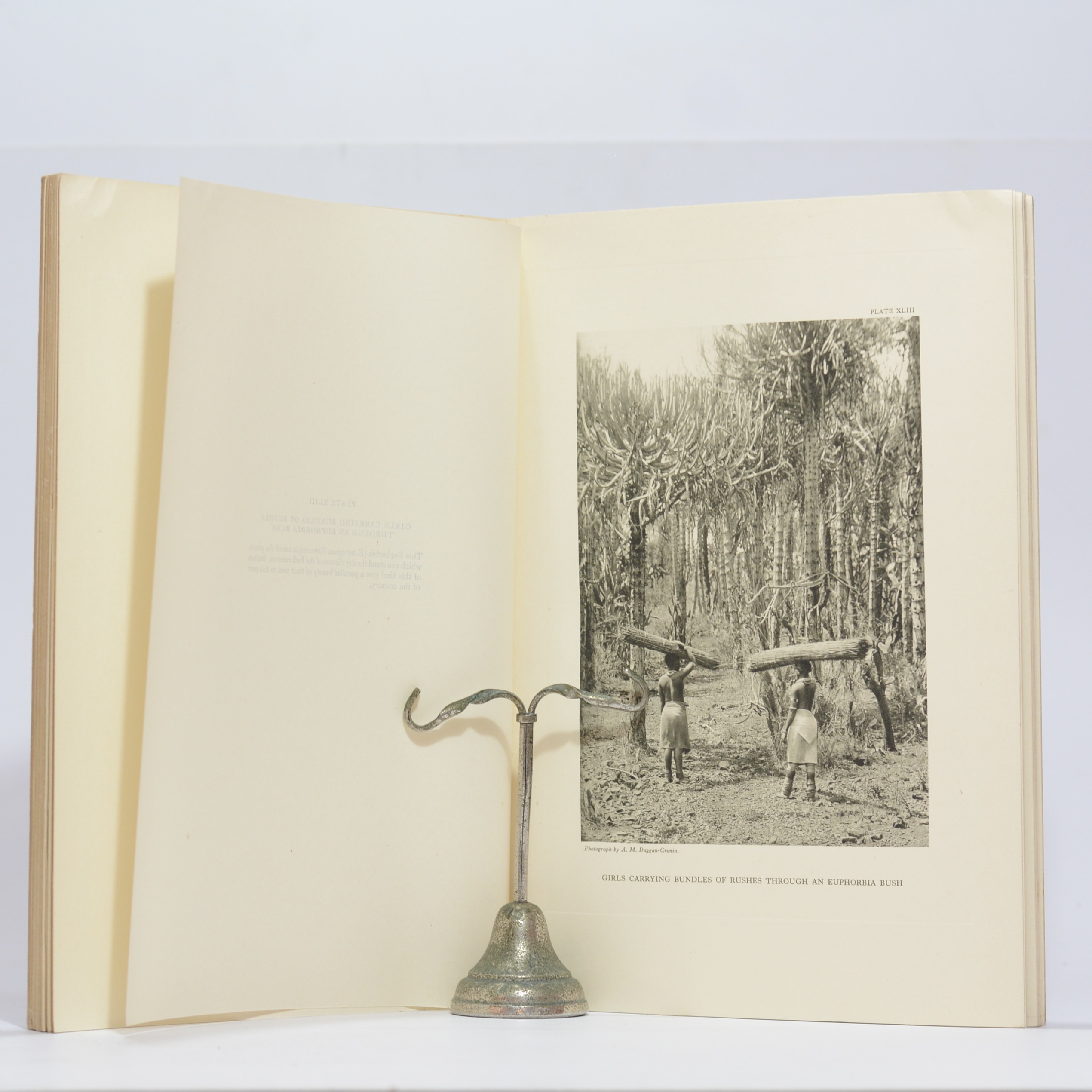 The Bantu Tribes of South Africa - Reproductions of Photographic Plates - Duggan-Cronin, A.M. (photog.), Lestrade, G.P., Eiselen, Junod, Malcolm, Bennie, Beemer, Wilson, Hammond-Tooke - Image 5