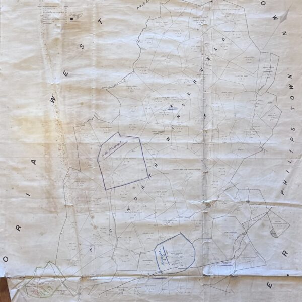 Divisional Map Richmond - [Neuman, Thomas C. (comp.), Templer Horne, J (Surveyor-General)]