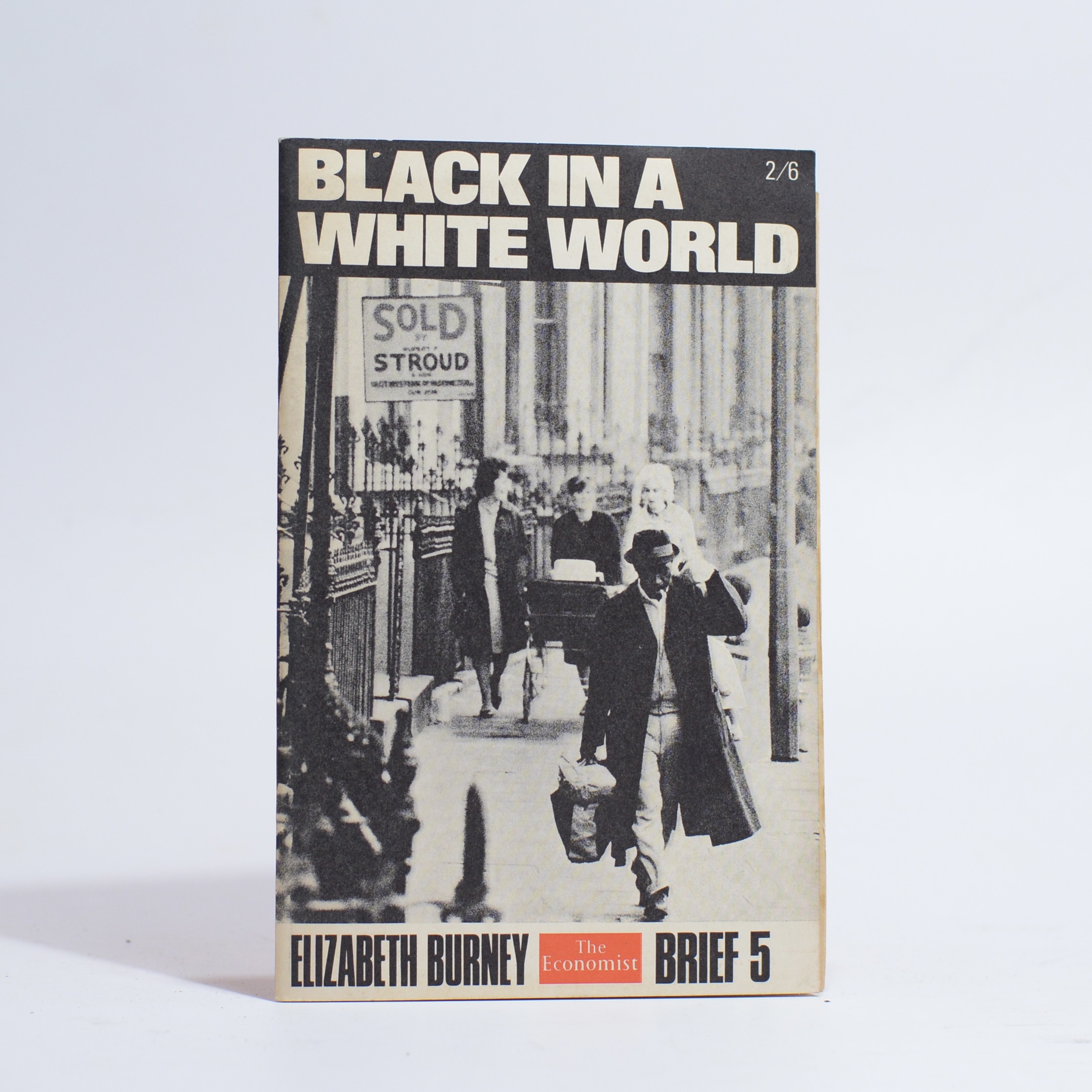 Black in a White World - Burney, Elizabeth