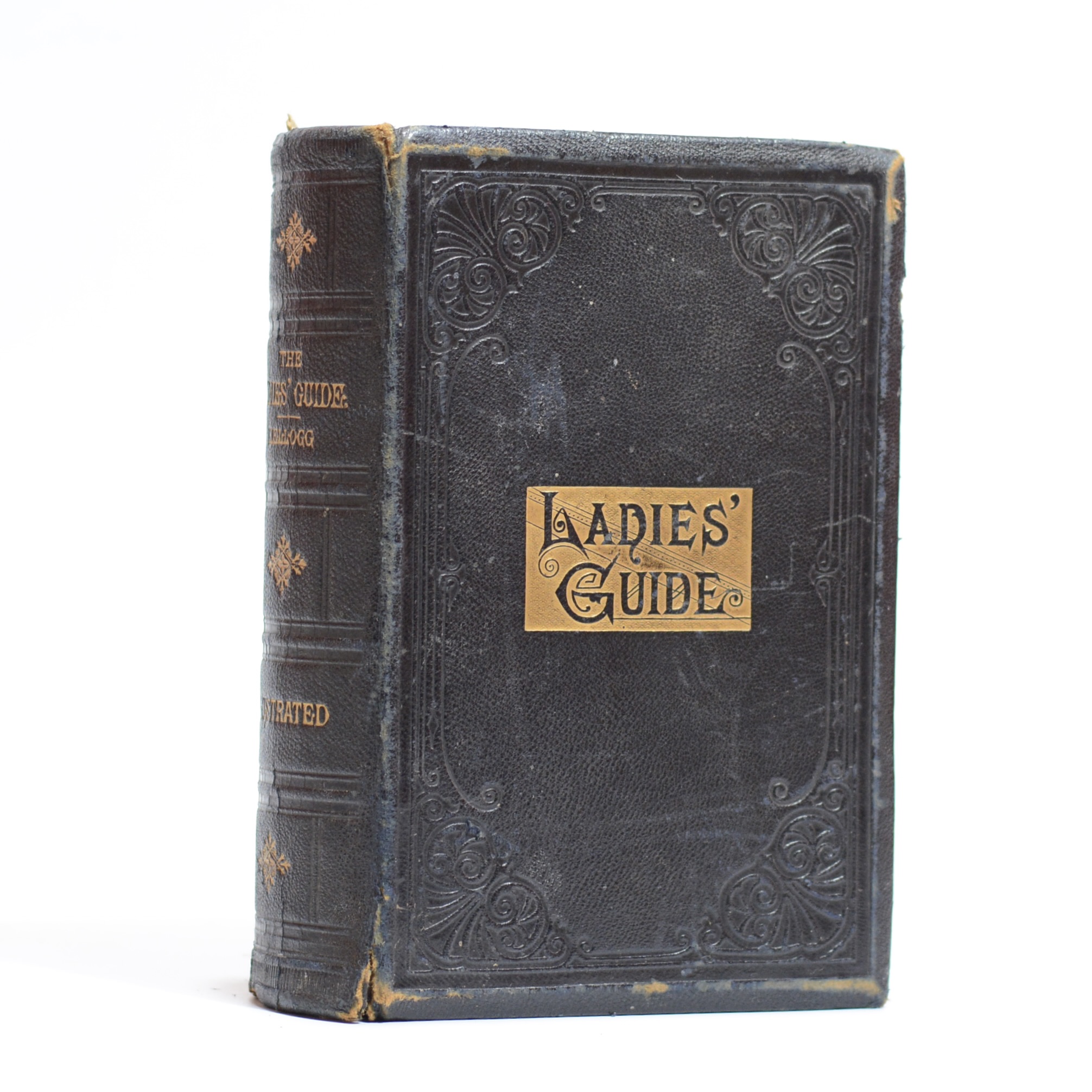 Ladies' Guide to Health in Health and Disease - Kellogg, J.H. Dr